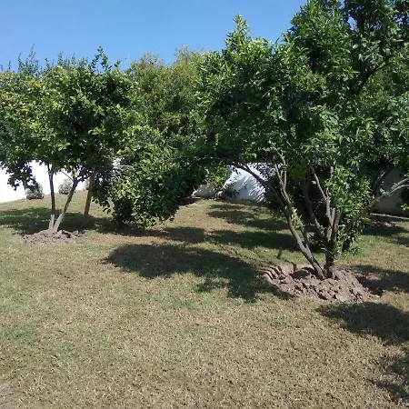 Luxury With Private Garden Апартаменты